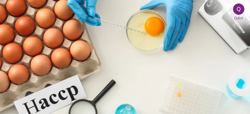 HACCP food safety testing with eggs and laboratory analysis