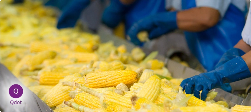 Halal Certification and Consultancy Services in Saudi Arabia