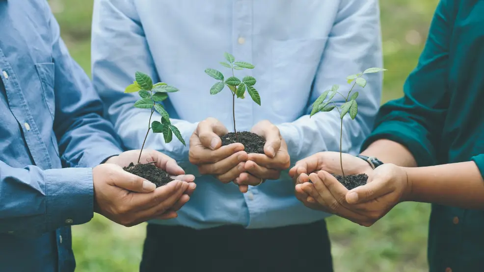 Understanding ISO 14001 Certification in Saudi Arabia: Key to Environmental Sustainability